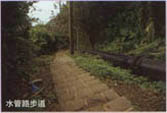 ޸BD